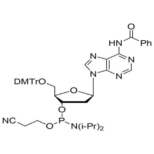 5'-ODMT N-Bz deoxyadenosine amidite  