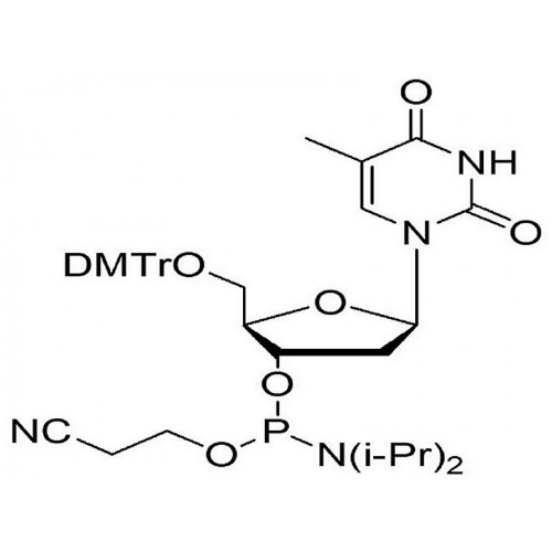 5'-ODMT deoxythymidine amidite 