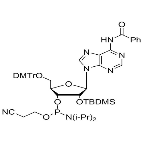 5'-ODMT-2’-OTBDMS-N-Bz adenosine amidite