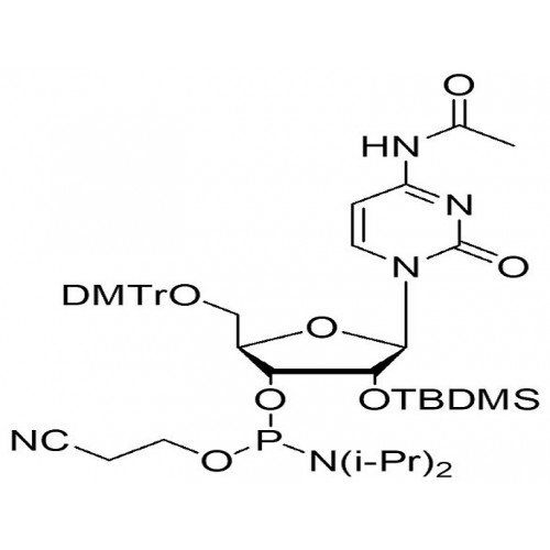 5'-ODMT-2’-OTBDMS-N-Ac cytidine amidite   