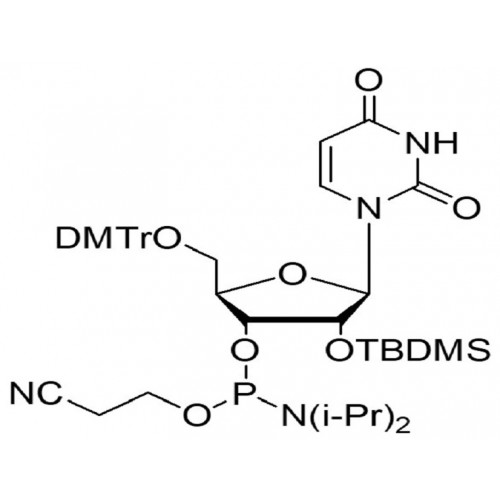 5'-ODMT-2’-OTBDMS uridine amidite   