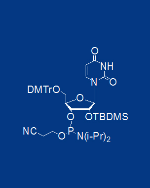 5′-ODMT-2’-OTBDMS uridine amidite