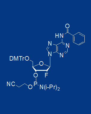 5'-ODMT-LNA N-Bz-5-Me cytidine amidite