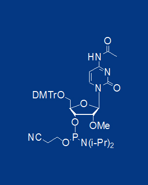 5′-ODMT-2’-OMe N-Ac cytidine amidite