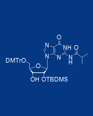 5'-ODMT-2’-OTBDMS-N-iBu Guanosine